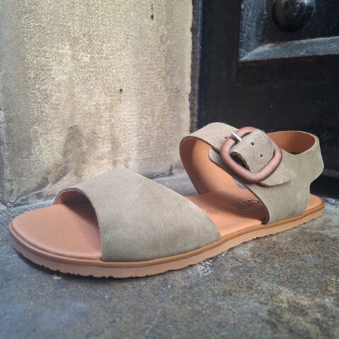 Sandalia kaki vivant